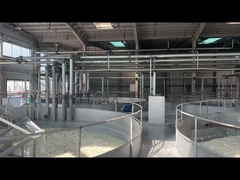 Желатинный порошок фармацевтического качества для производства мягких капсул